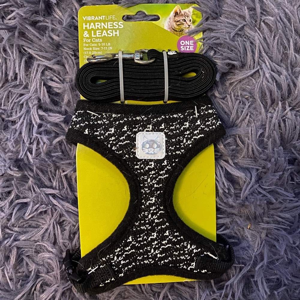Cat harness and leash
